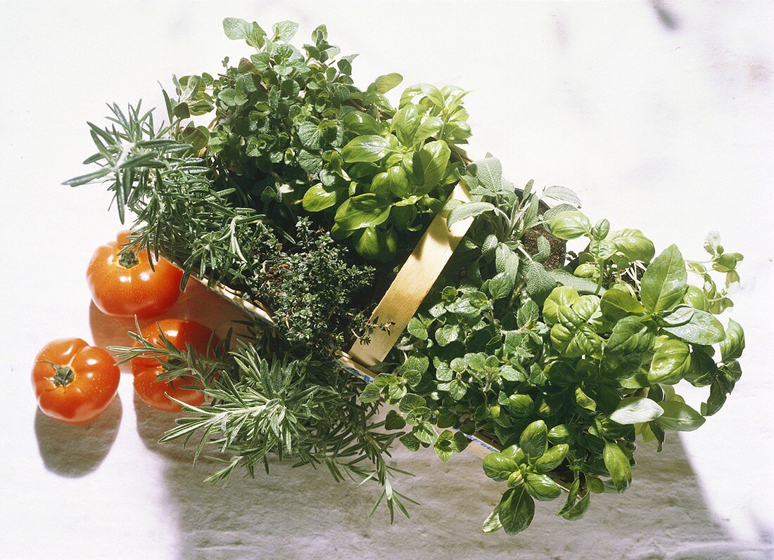 Basket with summery Herbs