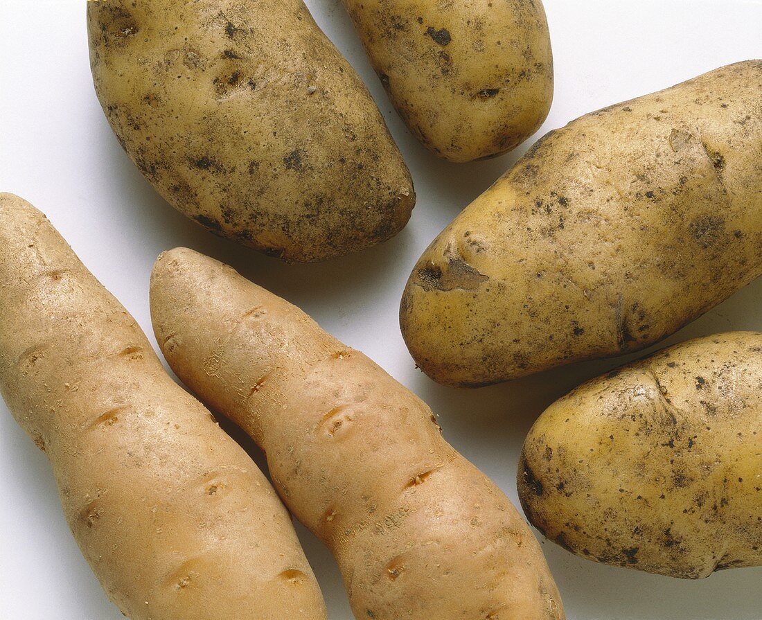 Assorted Kinds of Potatoes