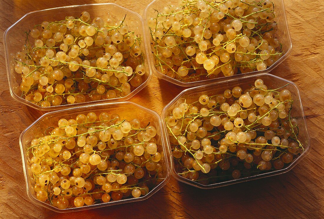 Four Bowls with White Currants