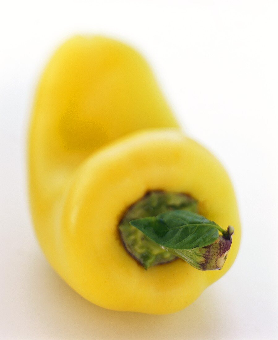 Yellow pepper with stalk and leaf