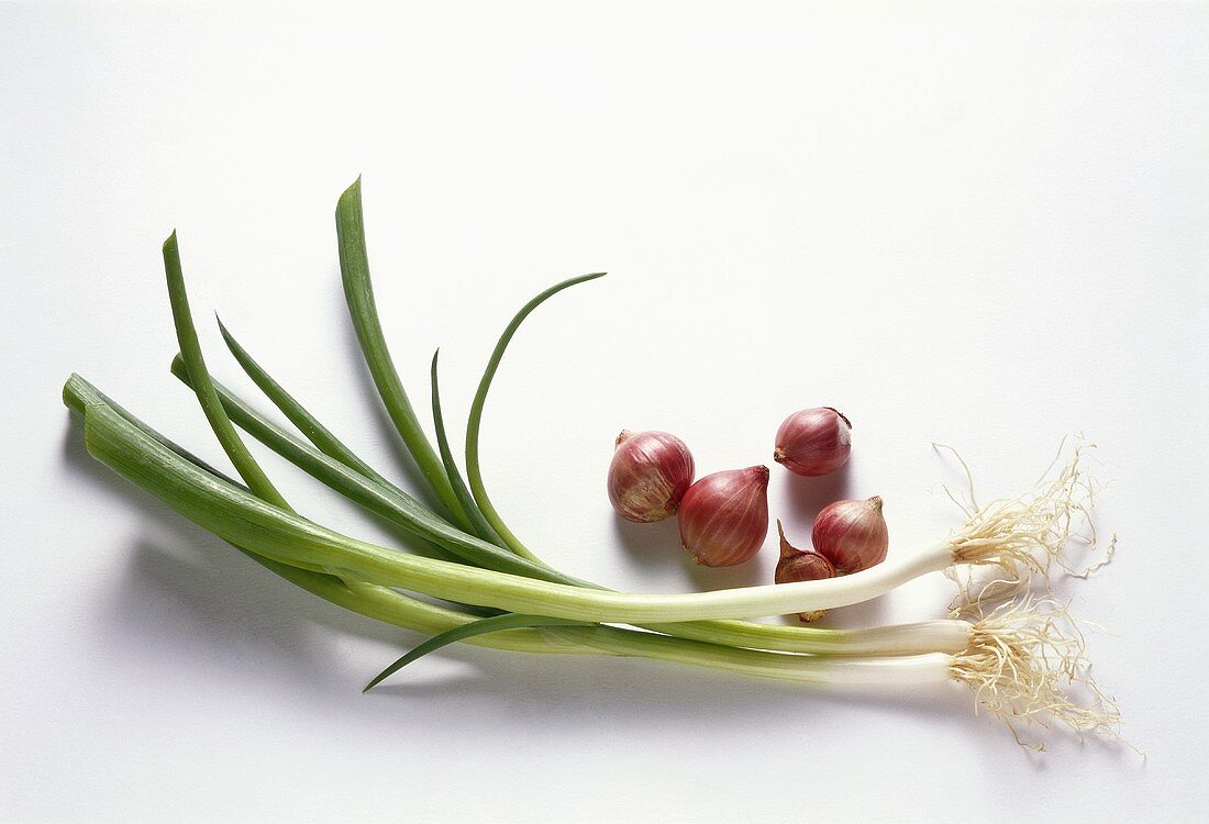 Red Thai onions and spring onions