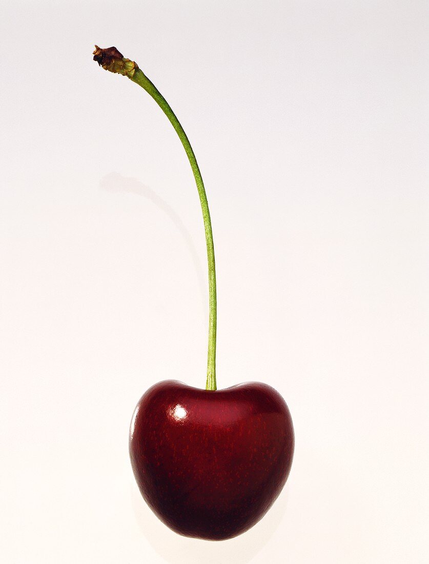 A cherry against a white background