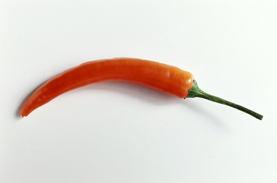 Thin orange chili pepper on white background