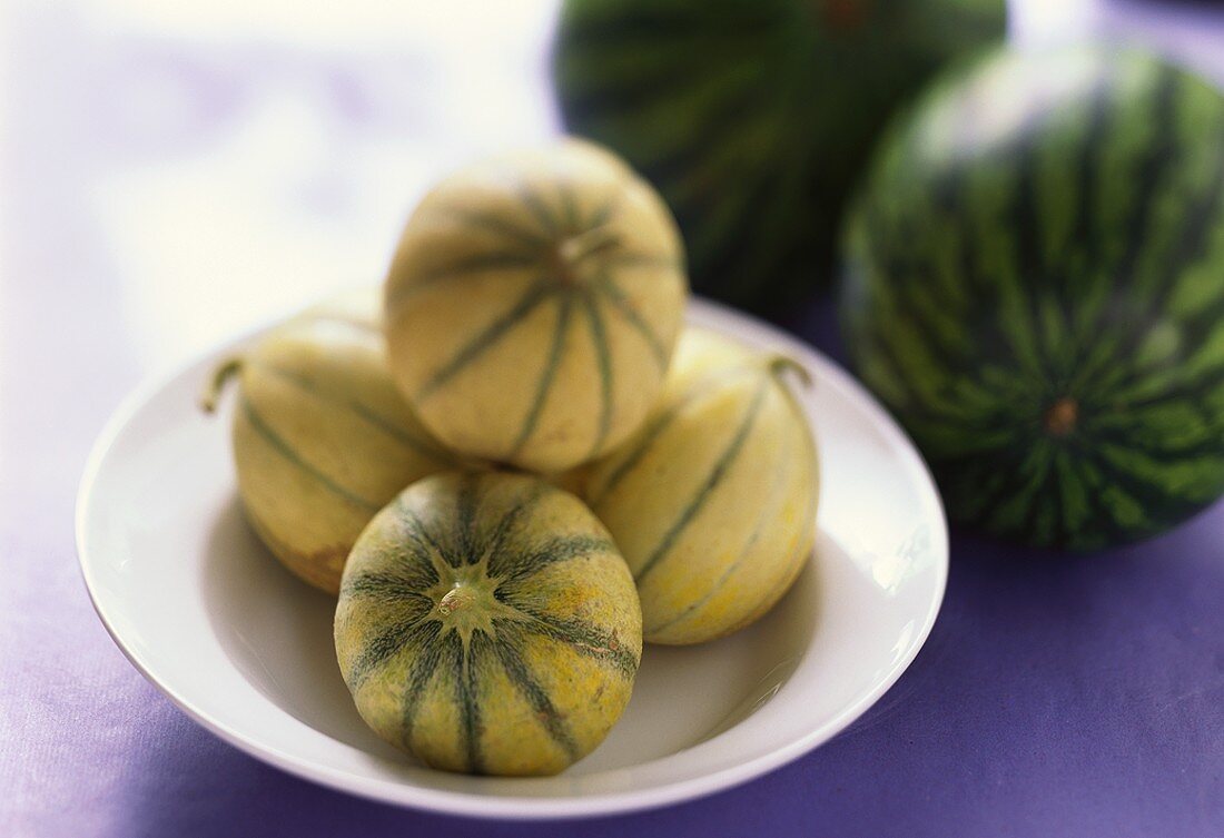 Charentais-Melonen auf Teller, dahinter Wassermelonen