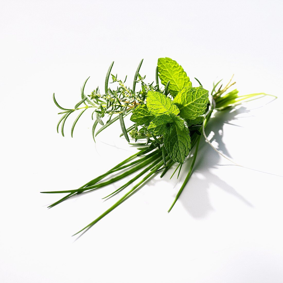 Bunch of herbs on white background