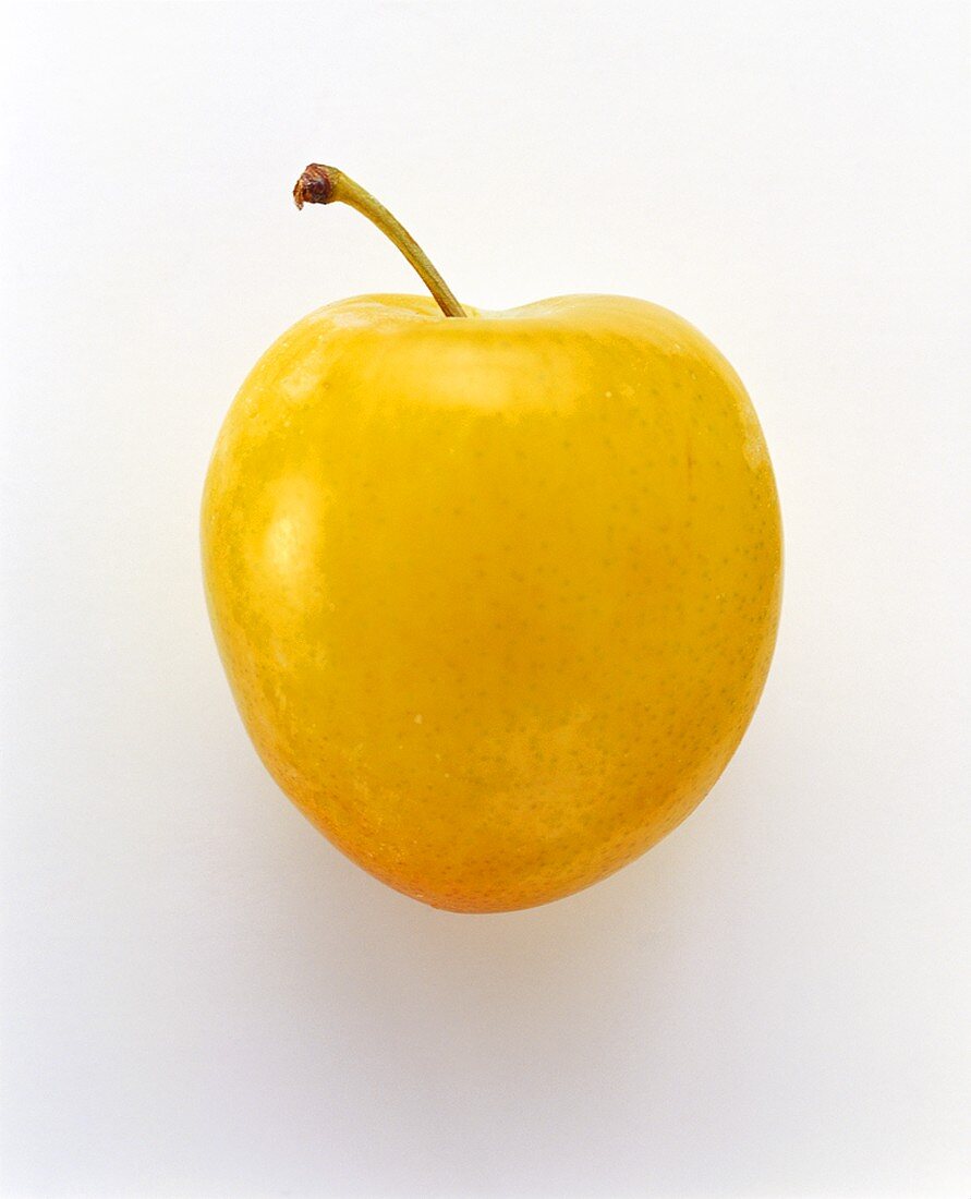 Yellow plum with stalk on white background