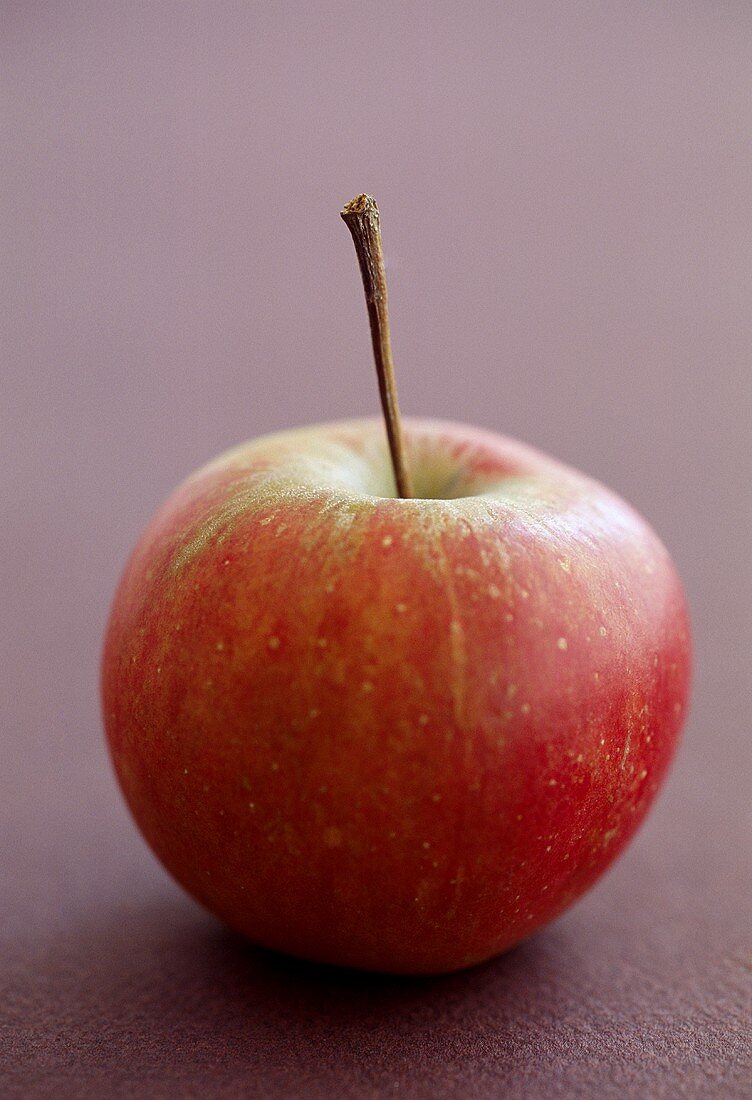 Elstar apple on dark background