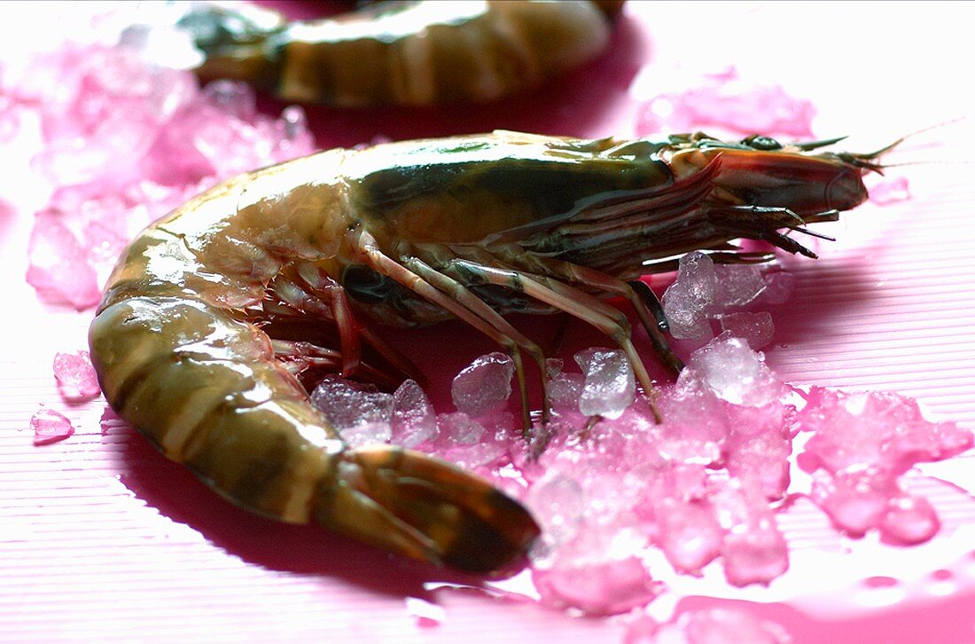 Fresh king prawns