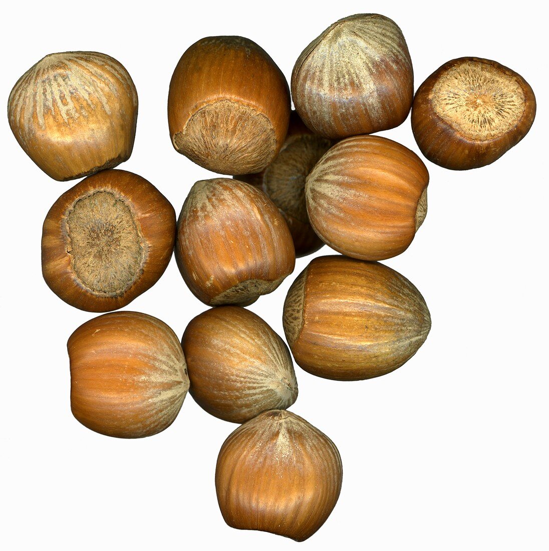 Several hazelnuts
