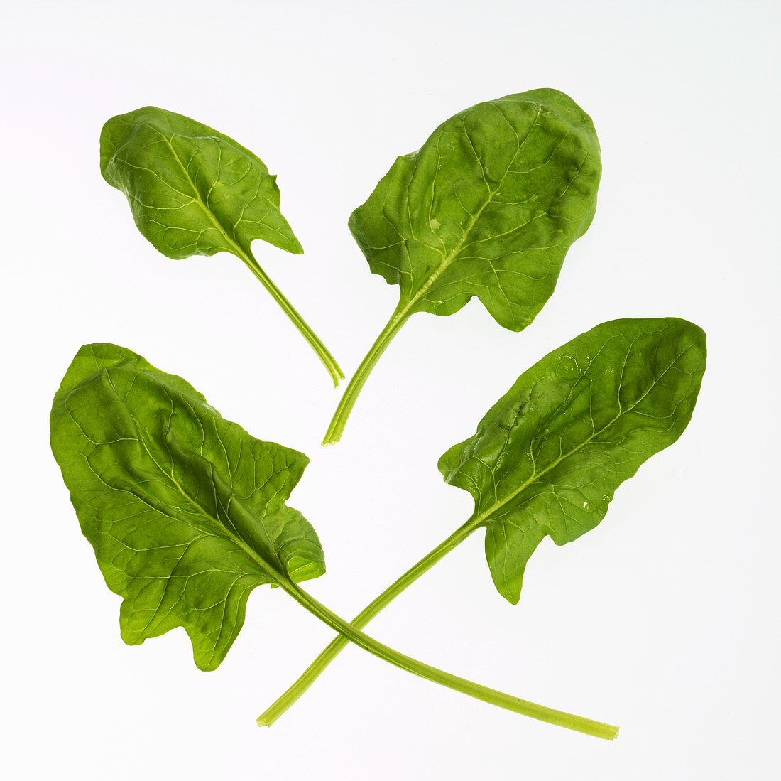 Four spinach leaves