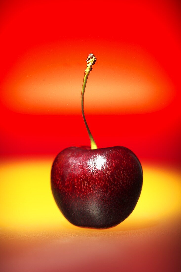 A sweet cherry against a red and yellow background