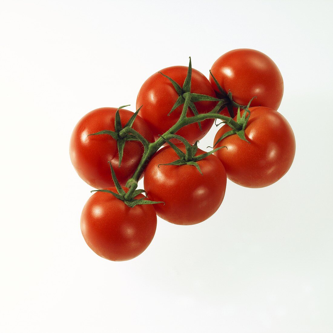 Tomatoes on the vine