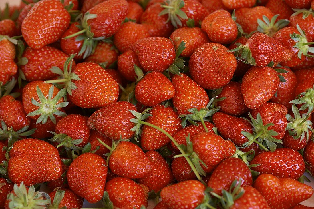 Frische Erdbeeren (bildfüllend)