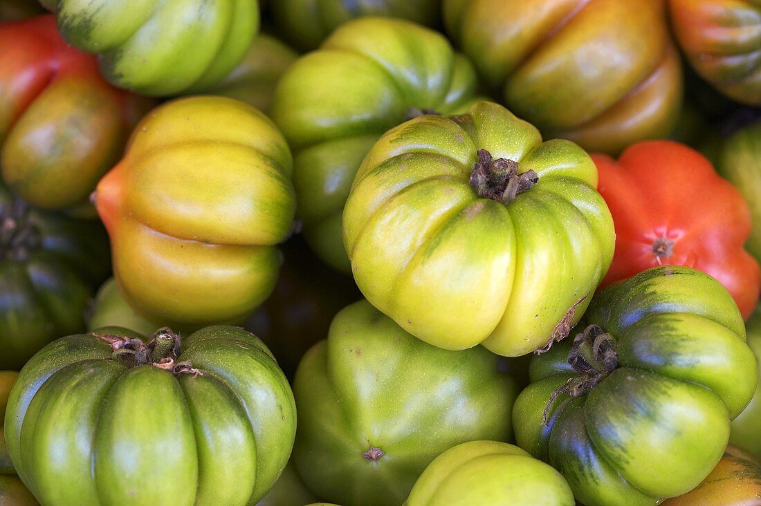 Green beefsteak tomatoes (filling the picture)