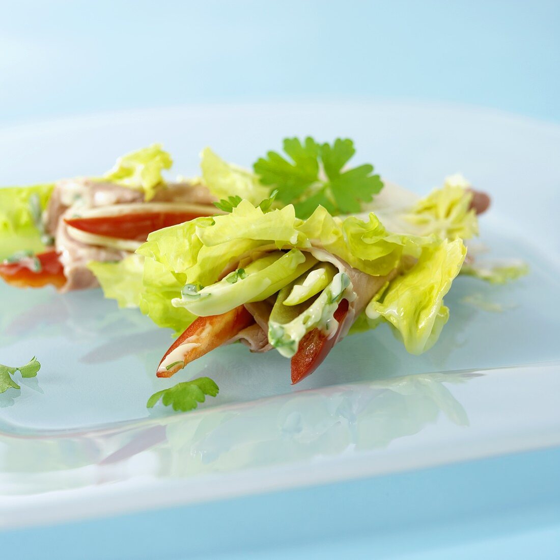 Turkey rolls with vegetables, salad and mayonnaise