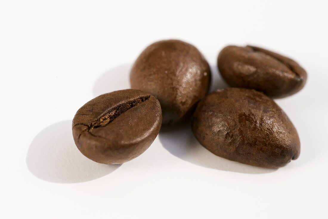 Four coffee beans on white background
