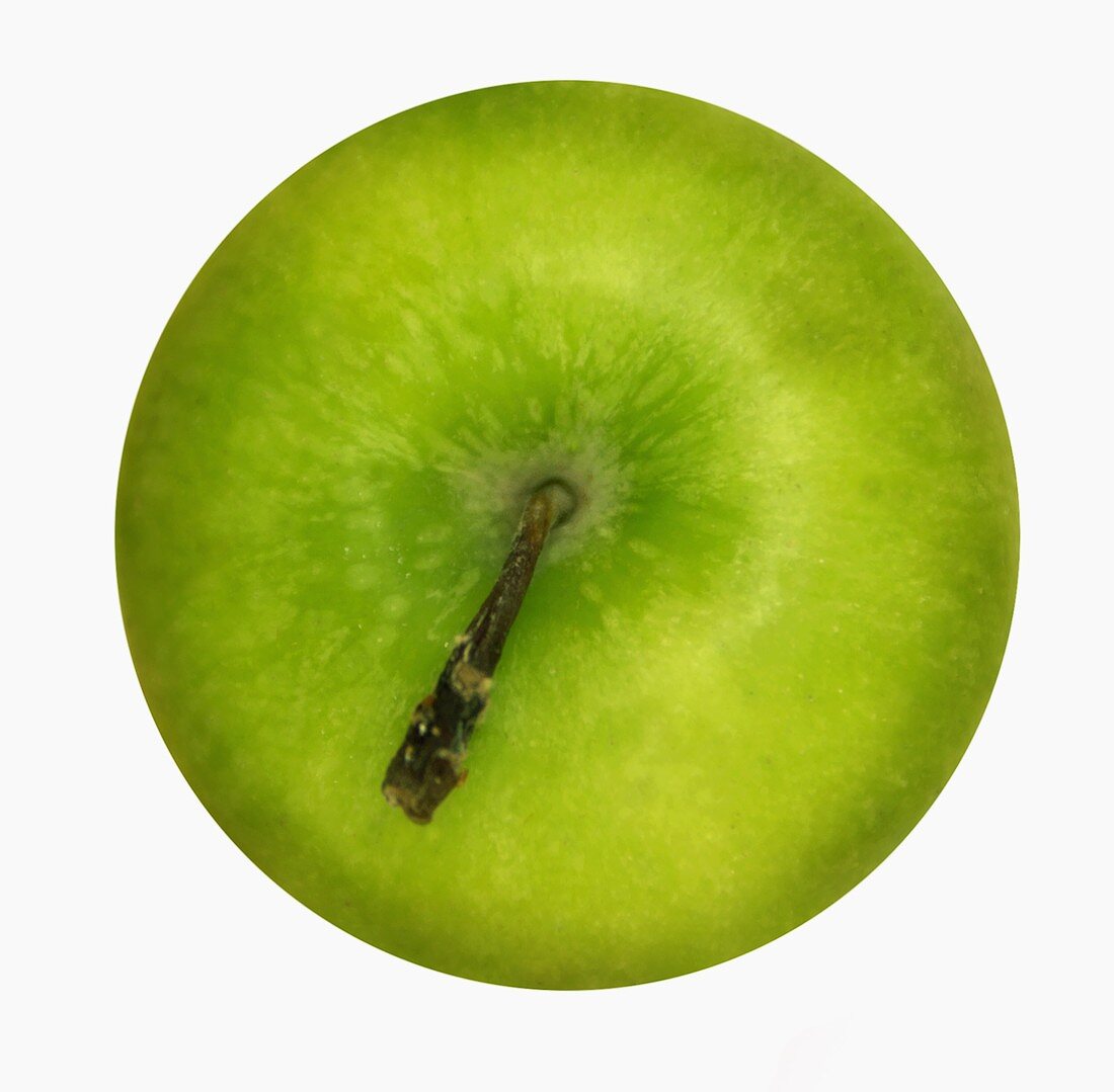 Ein 'Granny Smith' Apfel