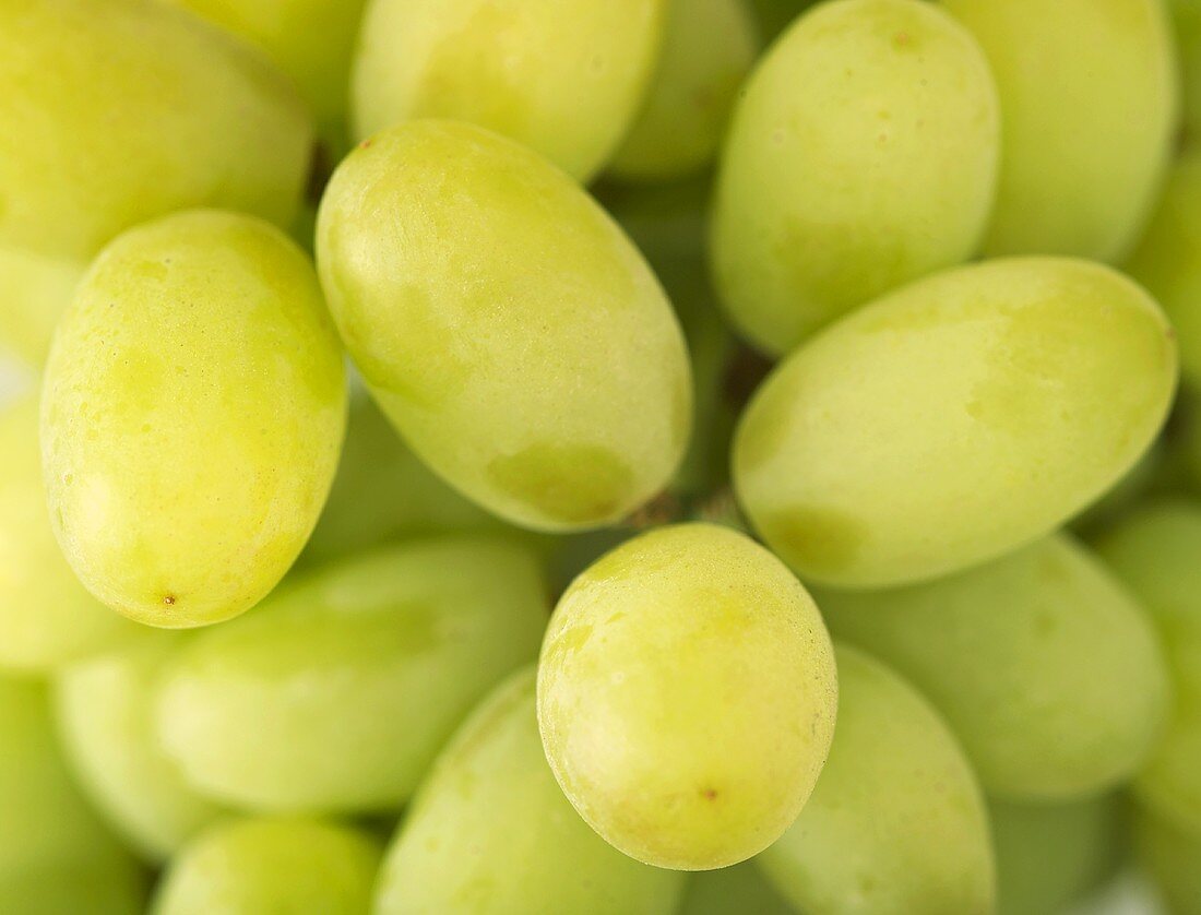 Seedless table grapes (filling the picture)