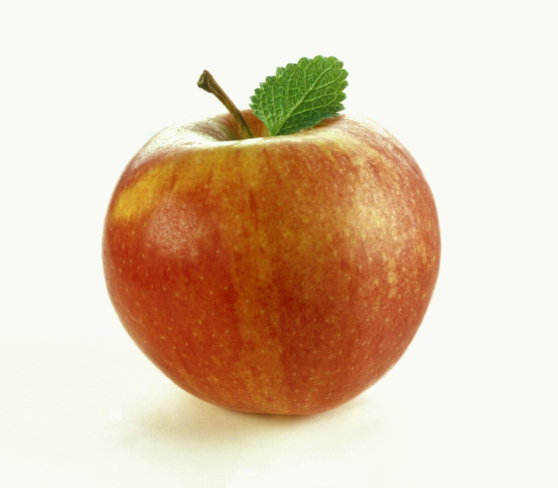 Ein Apfel der Sorte 'Gala'