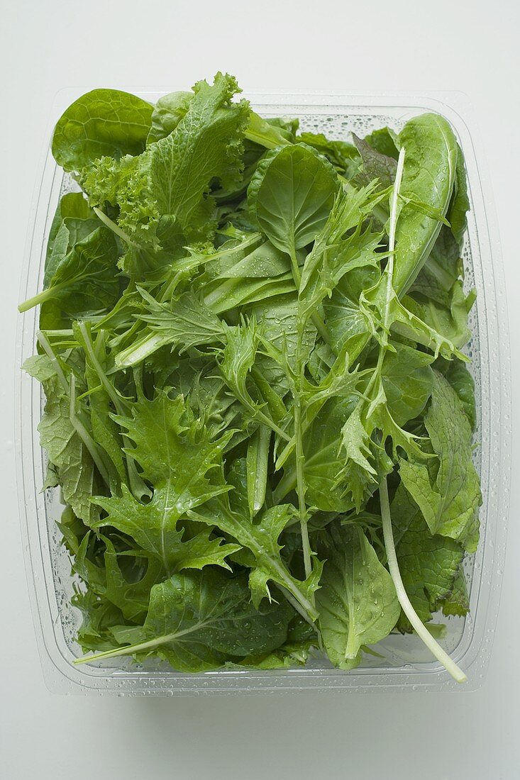 Spinach and Japanese mizuna in plastic container