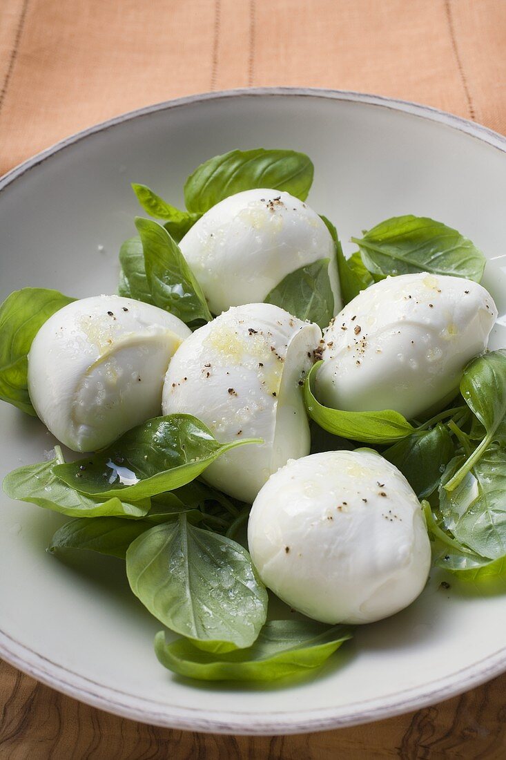 Mozzarella mit Basilikum