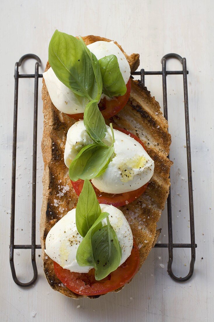 Tomatoes, mozzarella and basil on toasted bread