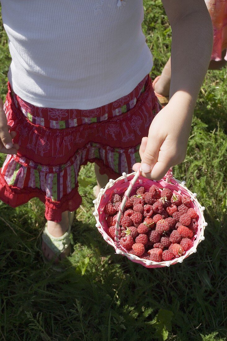 Girl holding small basket of freshly picked raspberries