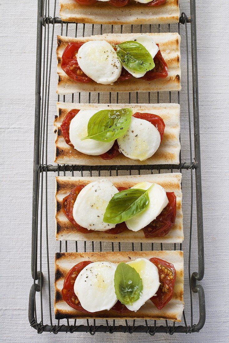 Tomatoes, mozzarella and basil on grilled bread