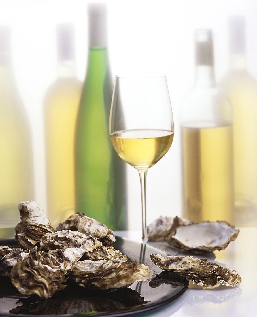 Still life with oysters and white wine