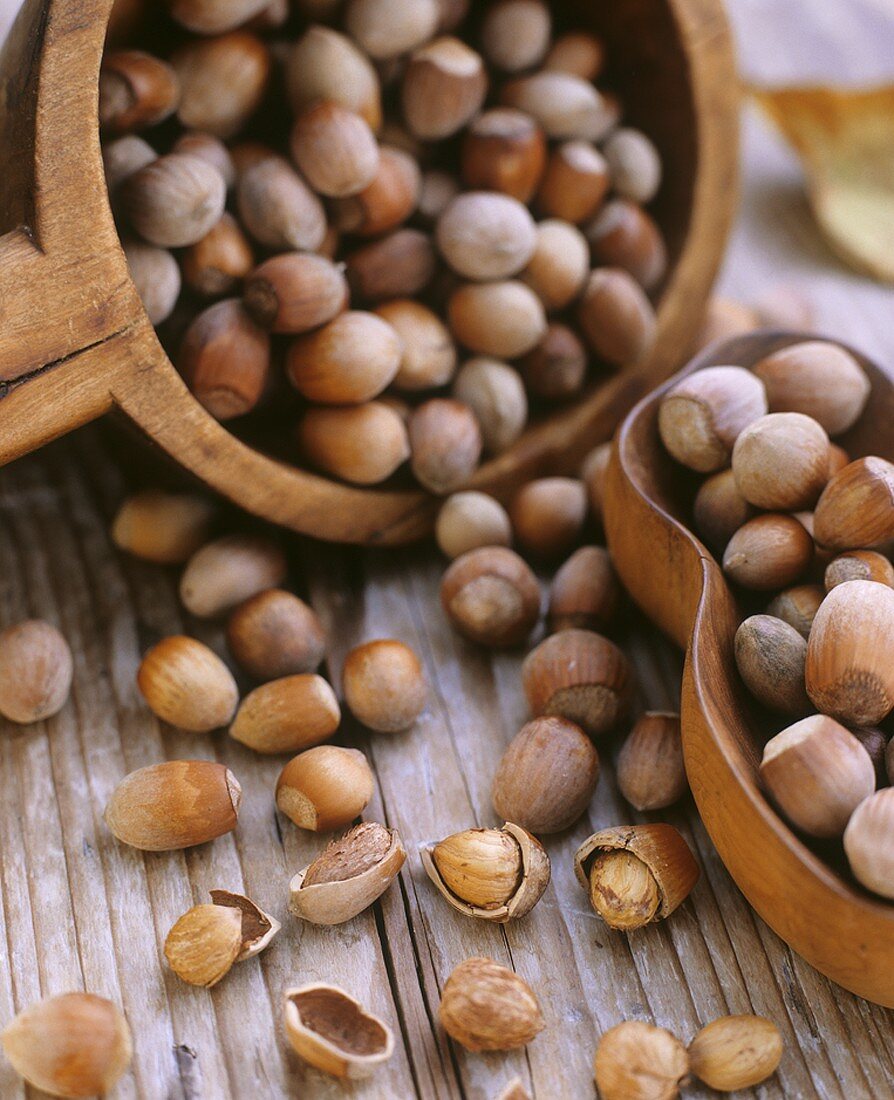 Hazelnuts, shelled and unshelled