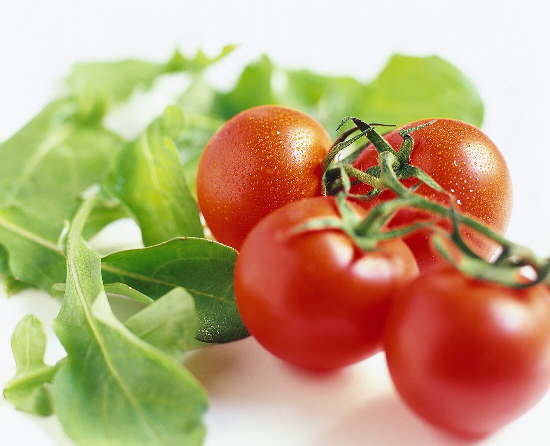 Tomatoes and salad leaves