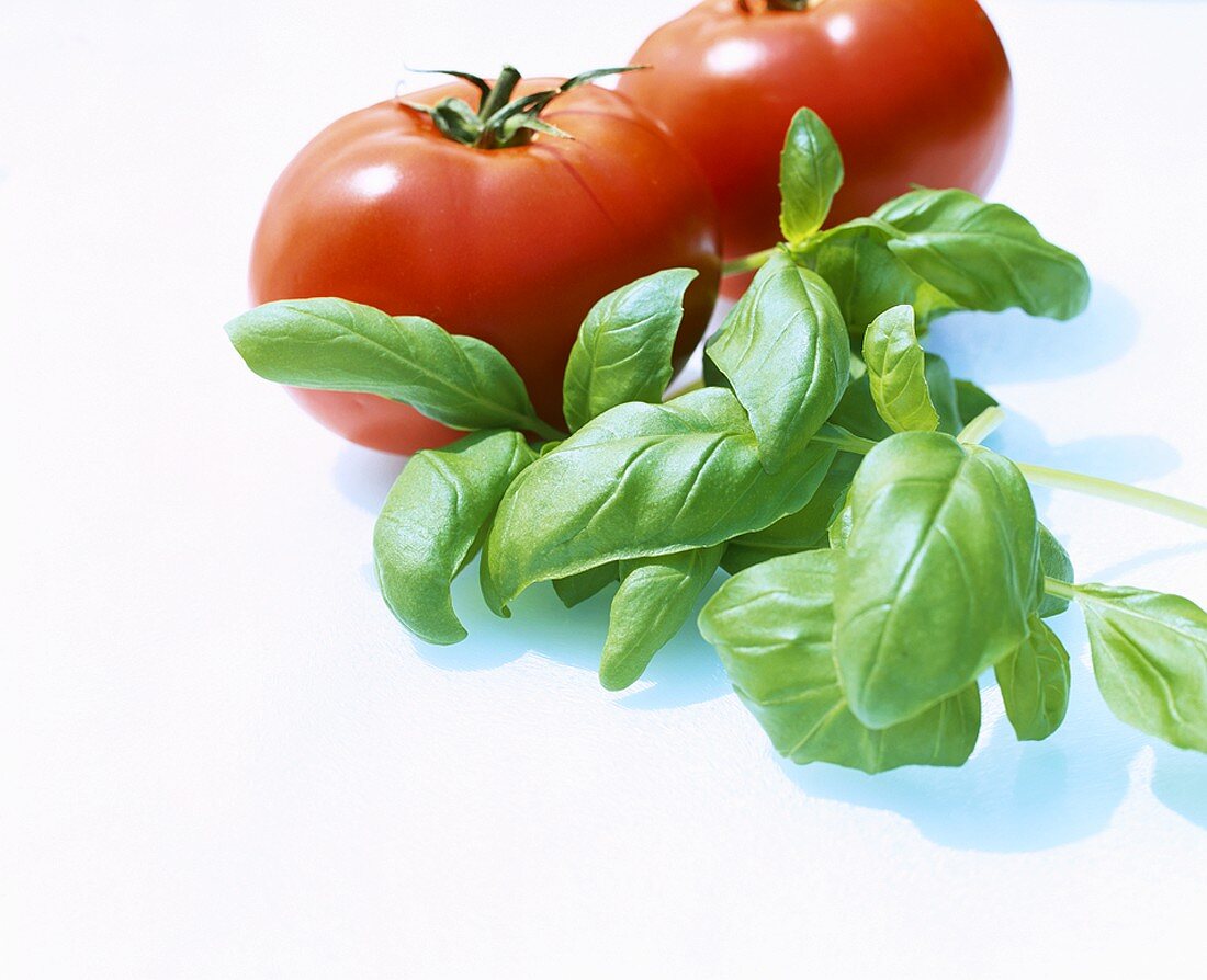 Fresh basil and tomatoes