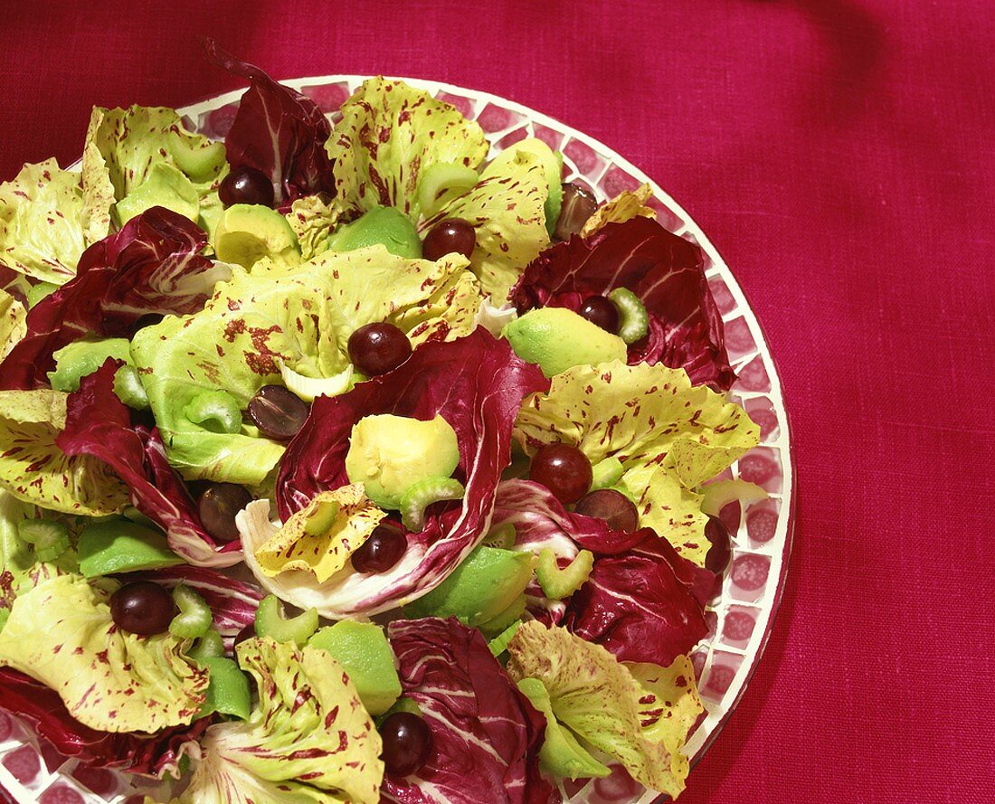 Radicchio mit Avocado, Sellerie und Oliven