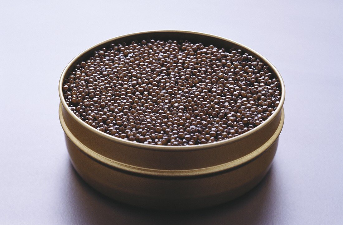 Black caviar in the tin