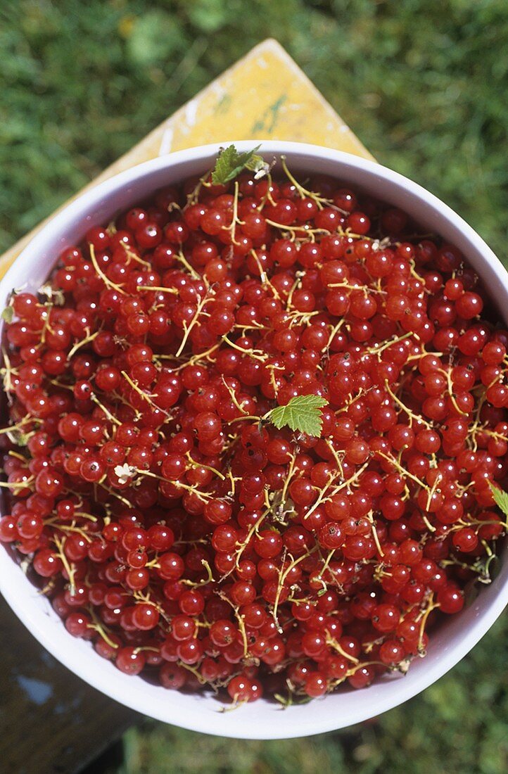 Redcurrants in a dish