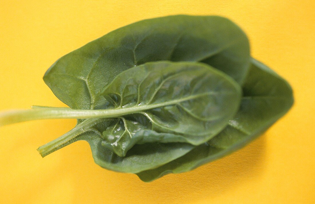 Spinach leaves against yellow background
