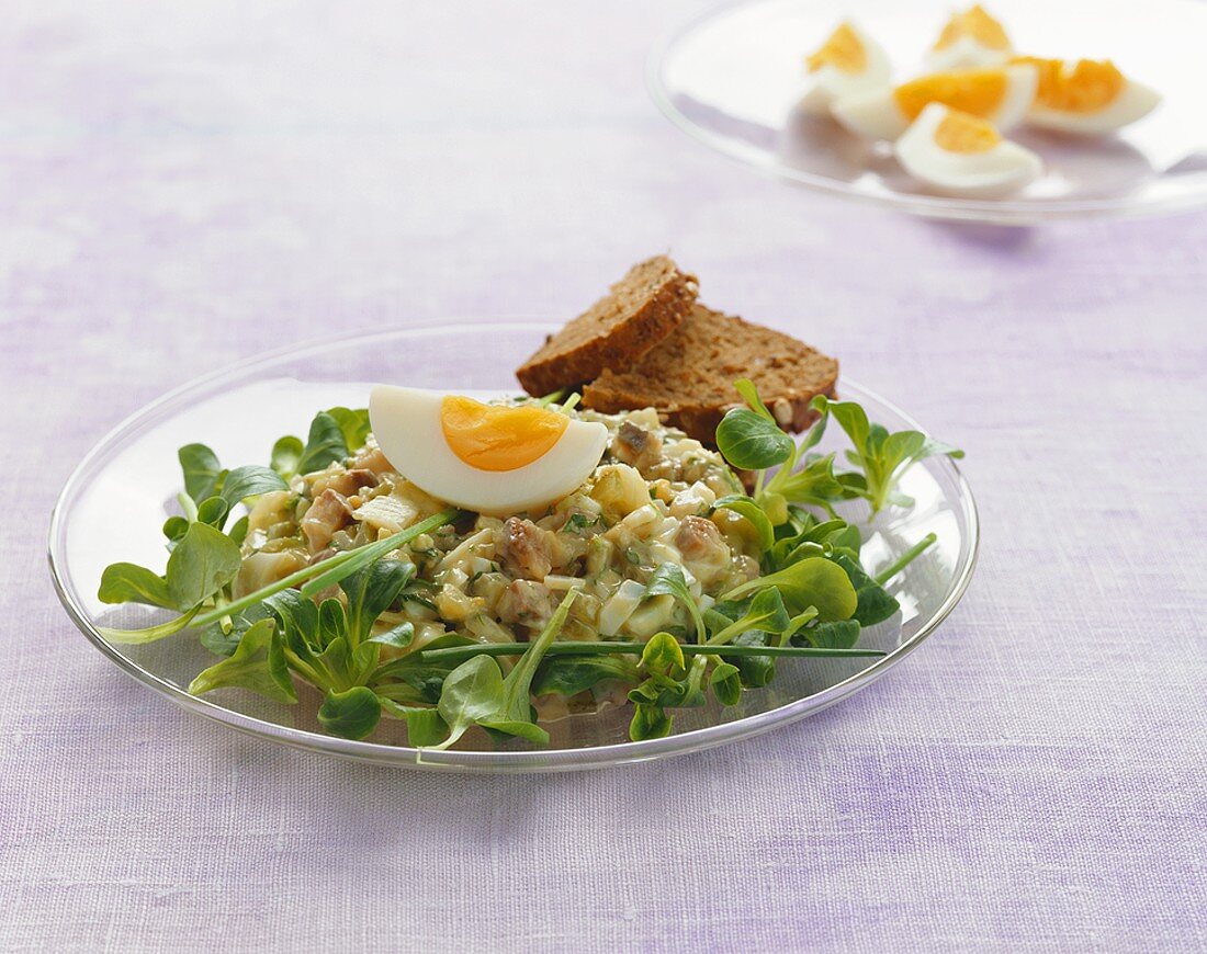 Matjestatar mit Ei und Feldsalat – Bilder kaufen – 932851 StockFood