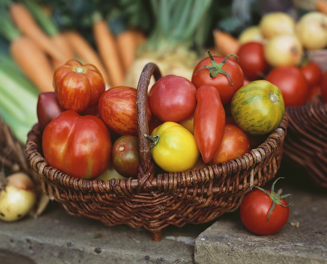 Various types of tomatoes in basket