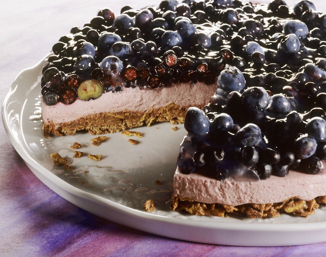 Blueberry yoghurt cake with chocolate muesli base