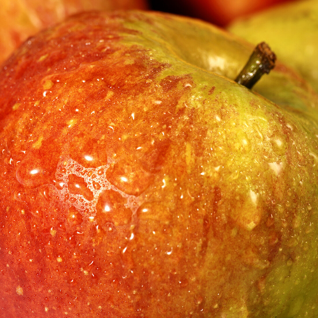 Apple, close-up