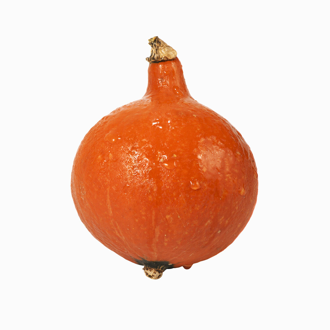 A Hokkaido pumpkin