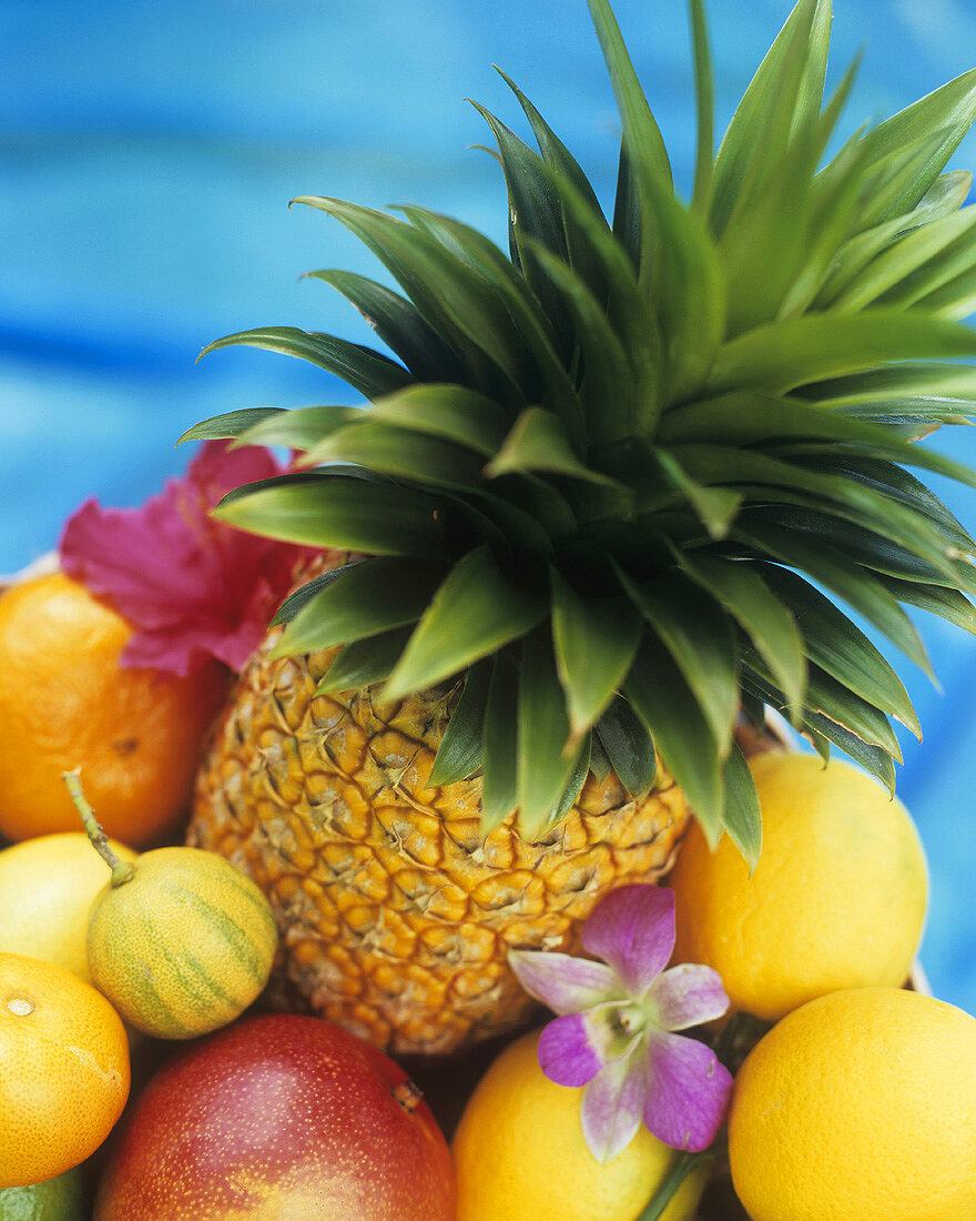 Assorted exotic fruits and orchids