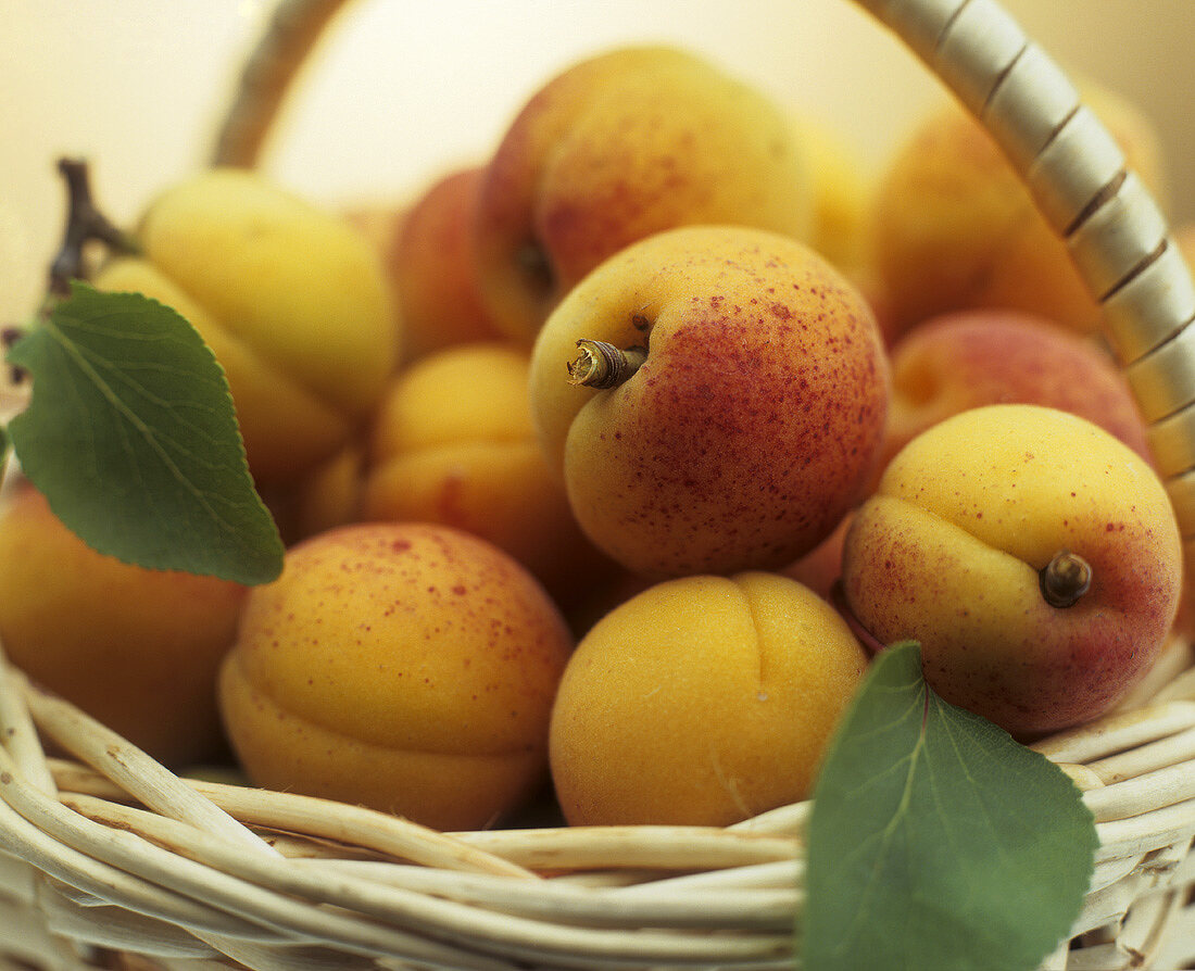 Apricots in a basket