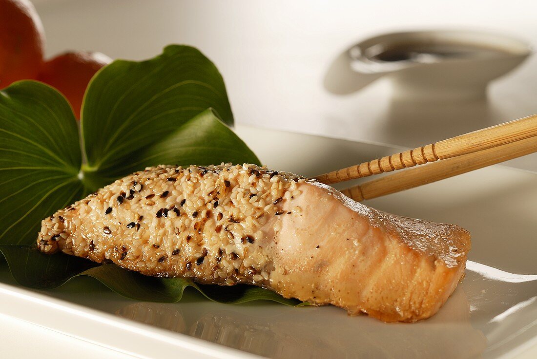 Fried salmon fillet with sesame seeds