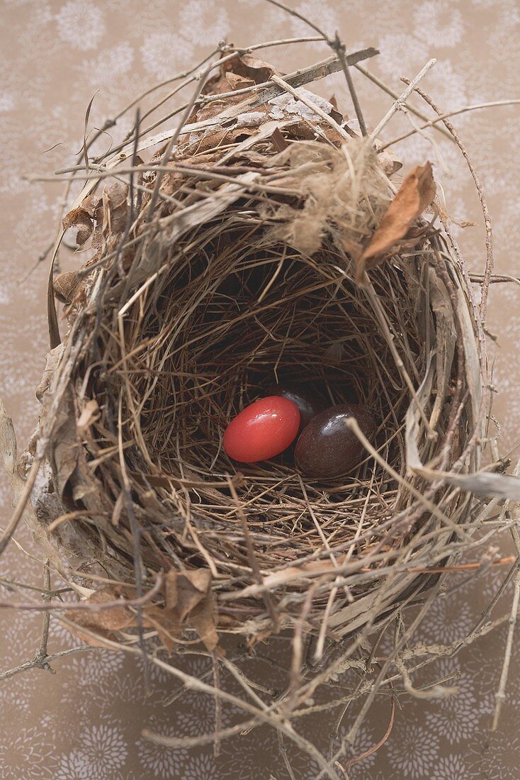 Easter eggs (one red) in an Easter nest (overhead view)
