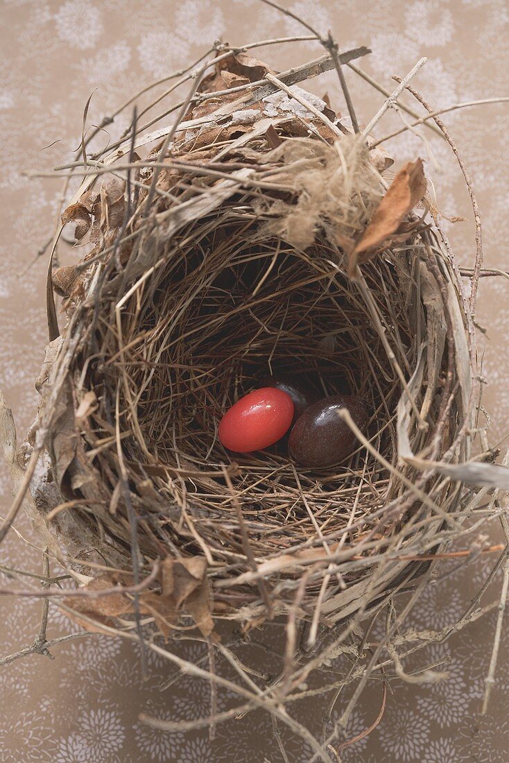 Osternest mit einem rotem Osterei (Aufsicht)