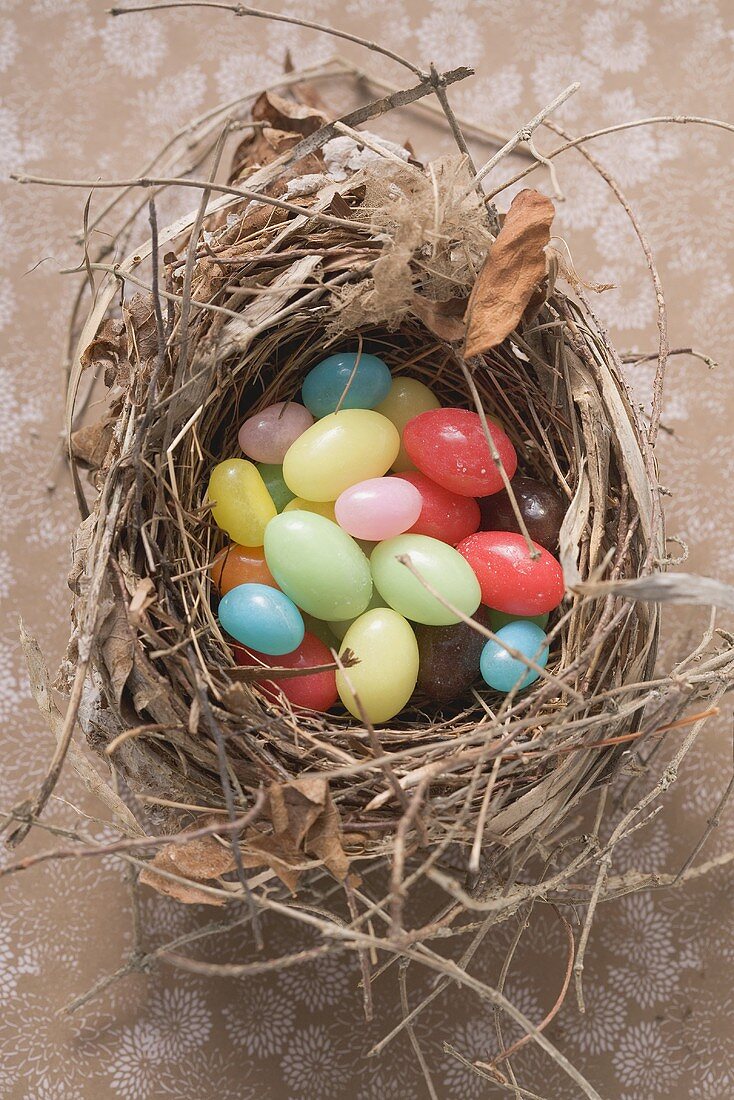Coloured Easter eggs in Easter nest (overhead view)