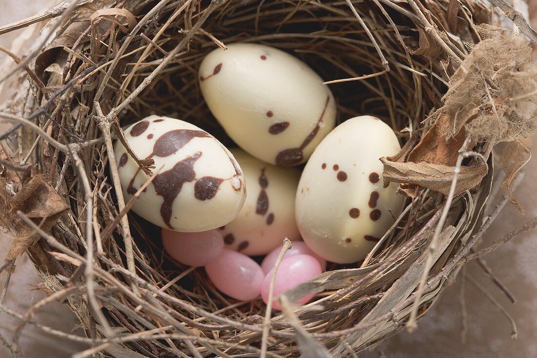 Osternest mit weissen Schokoeiern (Close-Up)