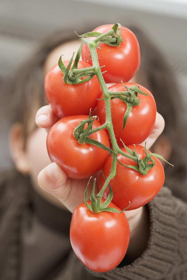 Girl holding tomatoes on the vine