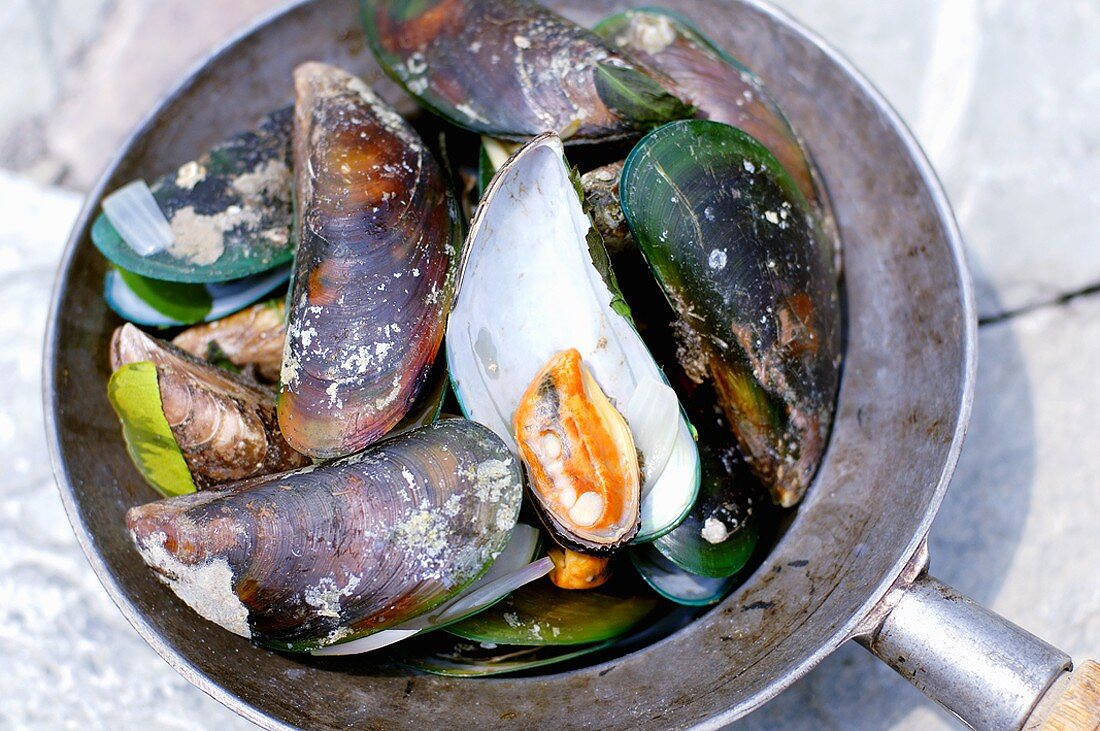 Thai mussels in a frying pan